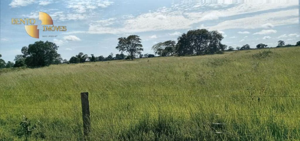 Fazenda de 4.778 ha em Cocalinho, MT