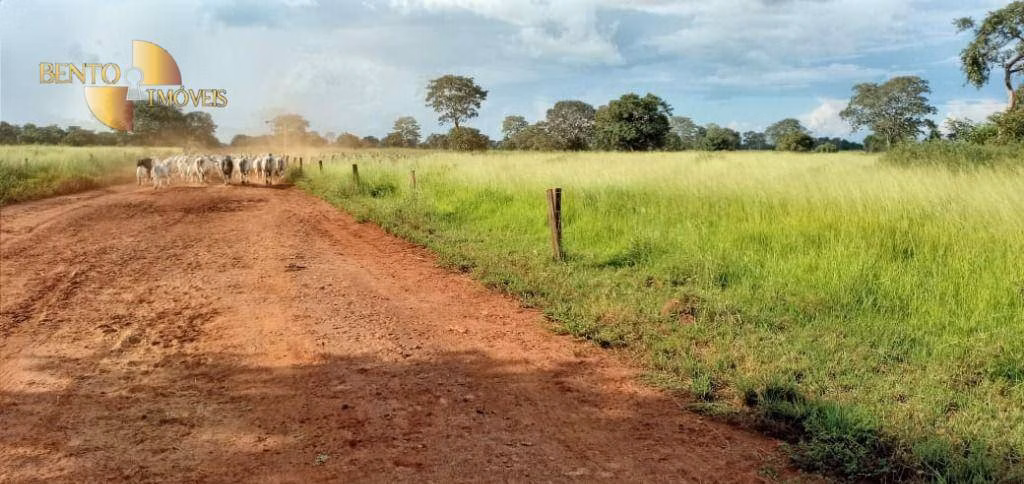 Fazenda de 4.778 ha em Cocalinho, MT