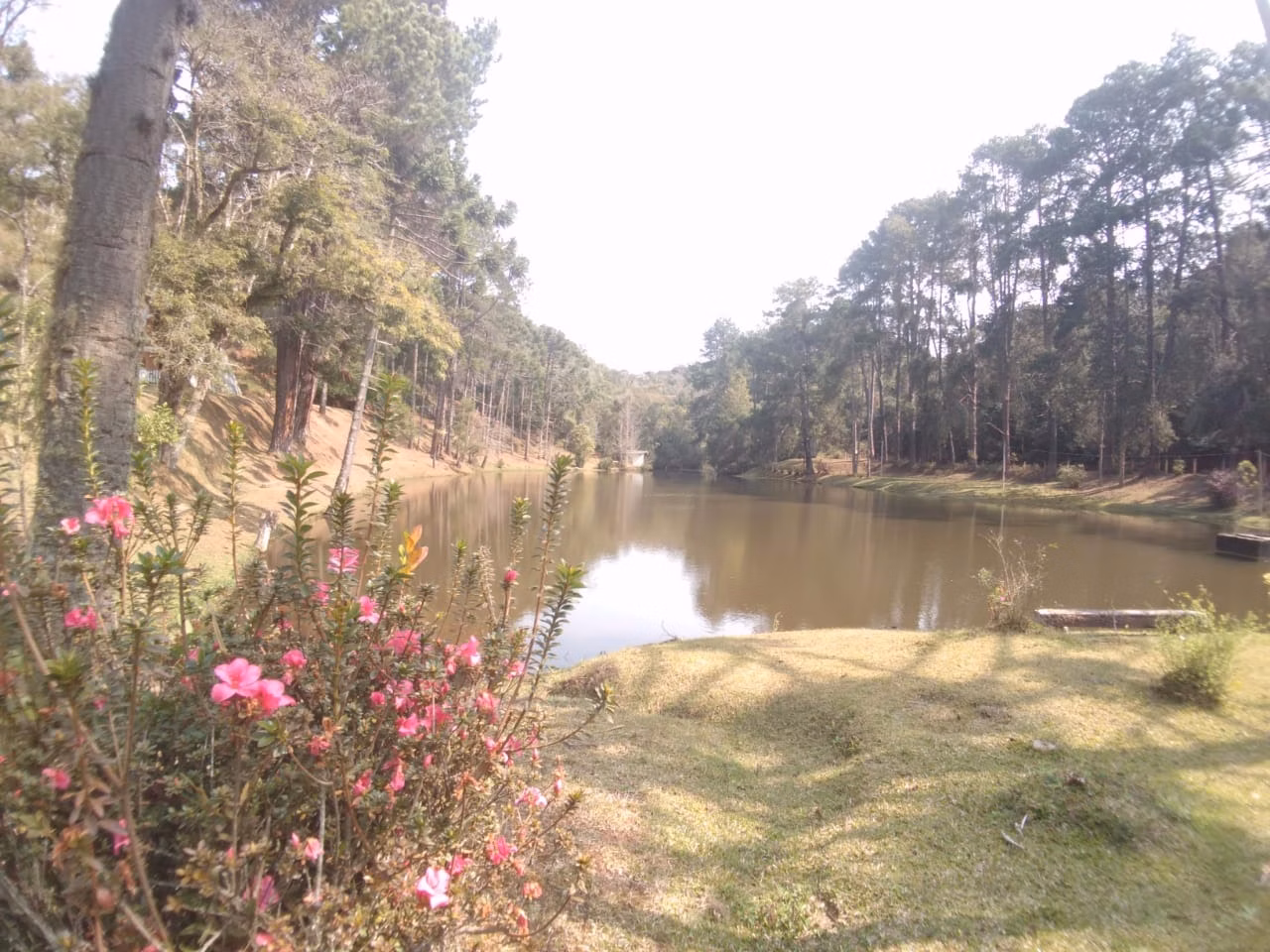 Sítio de 6 ha em Campos do Jordão, SP
