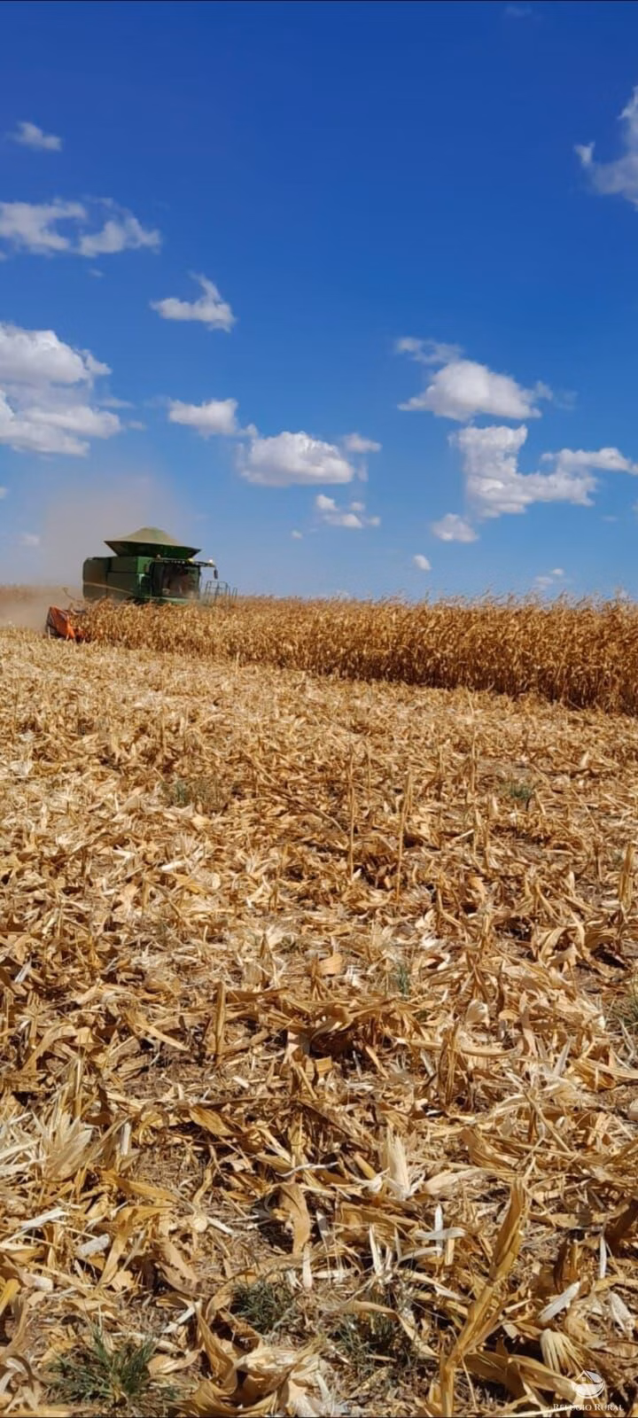 Fazenda de 4.800 ha em Paranatinga, MT
