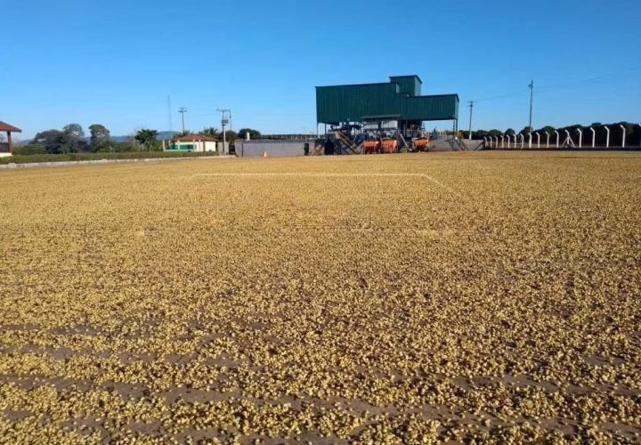 Fazenda de 1.526 ha em Piumhi, MG