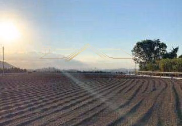 Farm of 3.771 acres in Piumhi, MG, Brazil