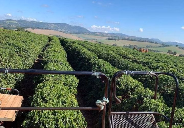 Fazenda de 1.526 ha em Piumhi, MG