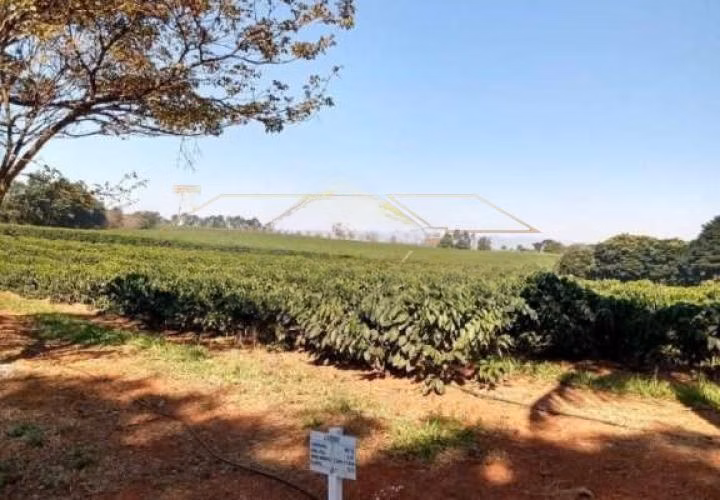 Fazenda de 1.526 ha em Piumhi, MG