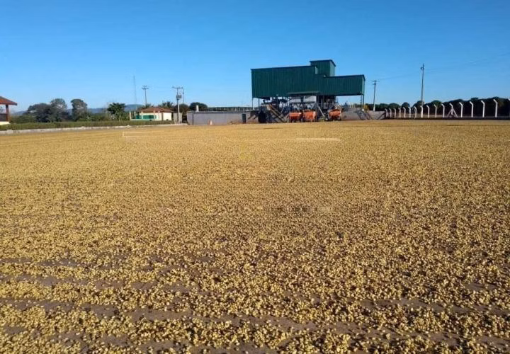Fazenda de 1.526 ha em Piumhi, MG