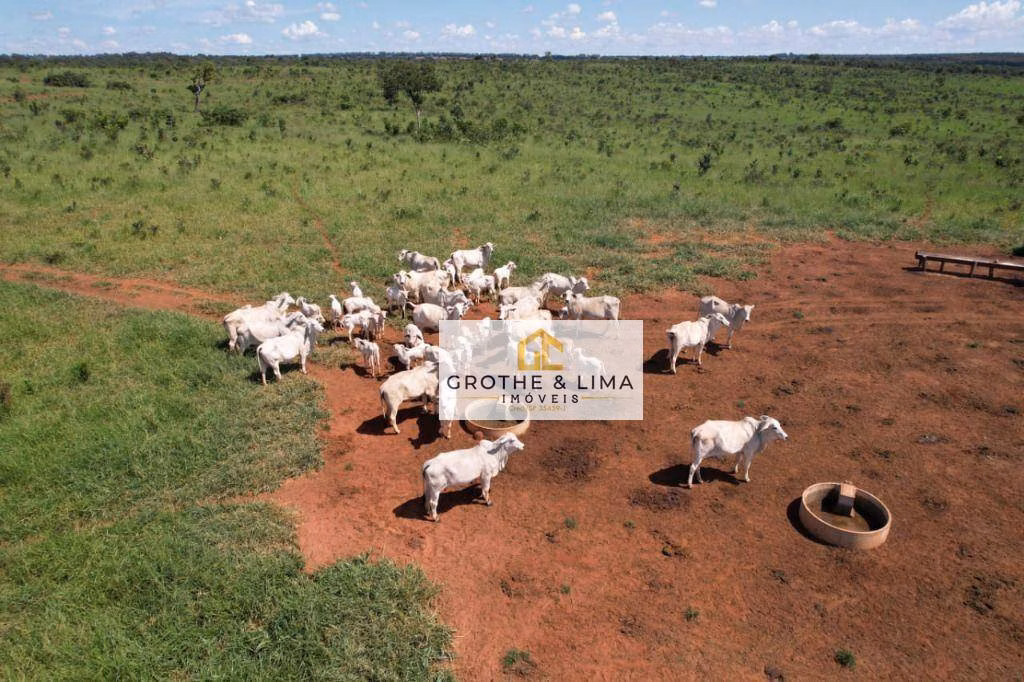 Fazenda de 1.134 ha em Campo Grande, MS
