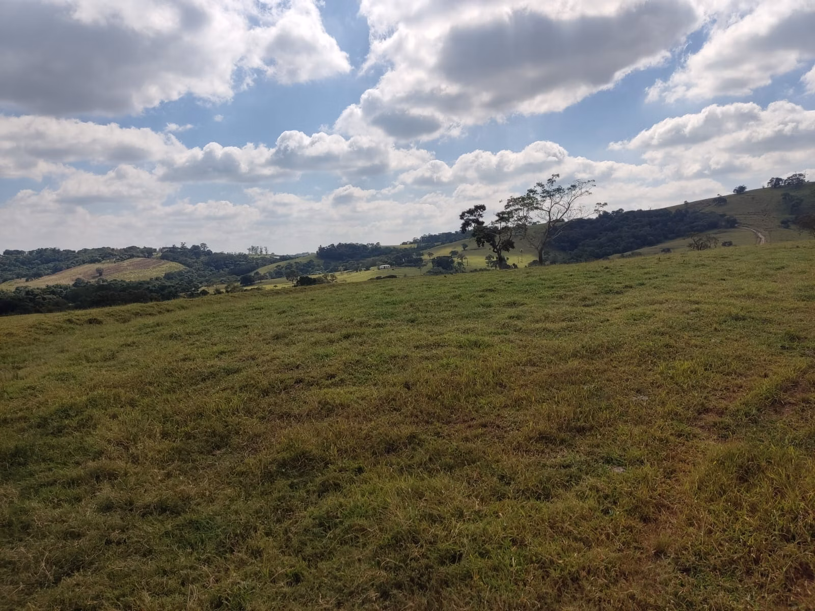 Fazenda de 102 ha em Angatuba, SP