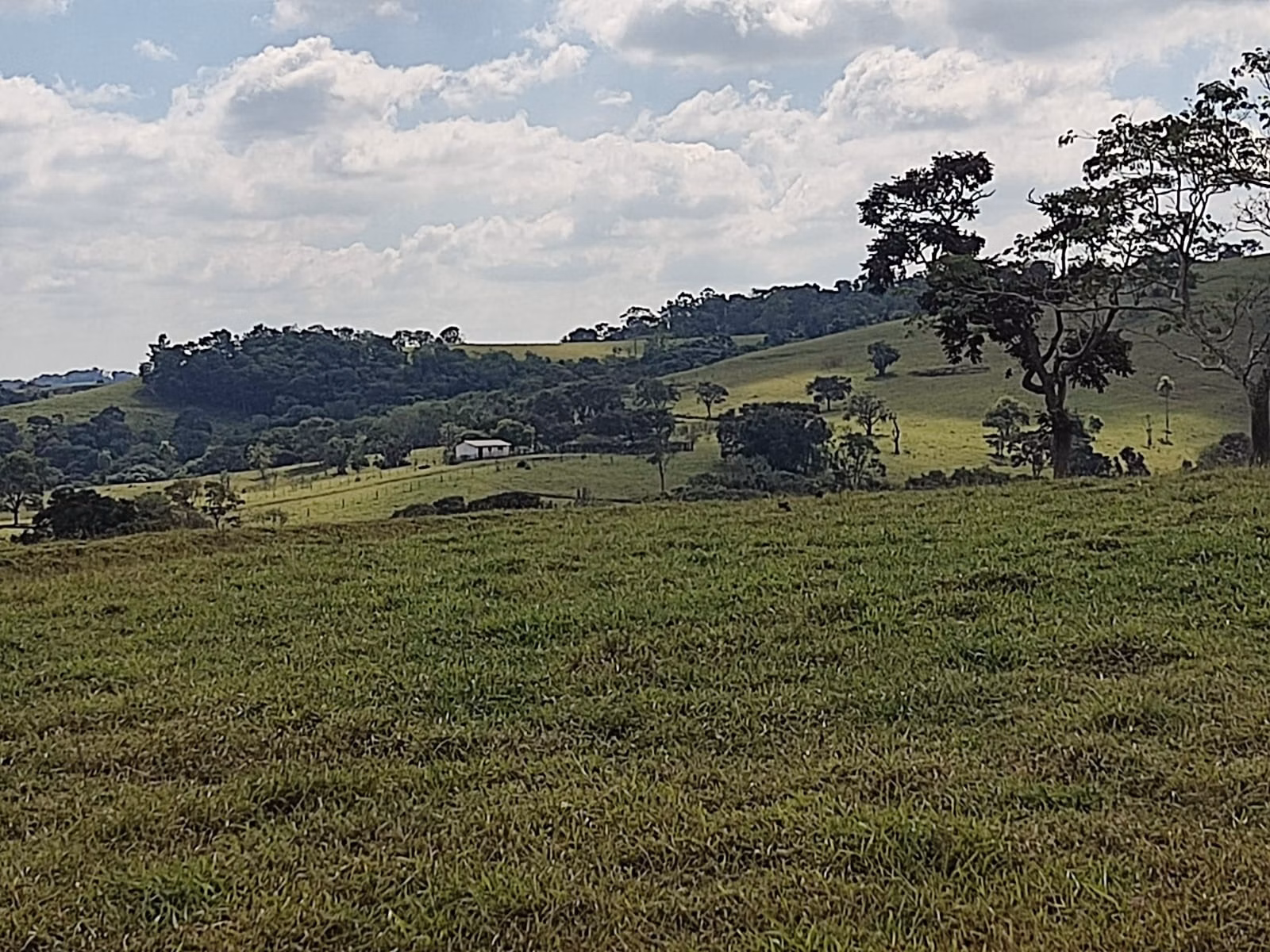 Fazenda de 102 ha em Angatuba, SP