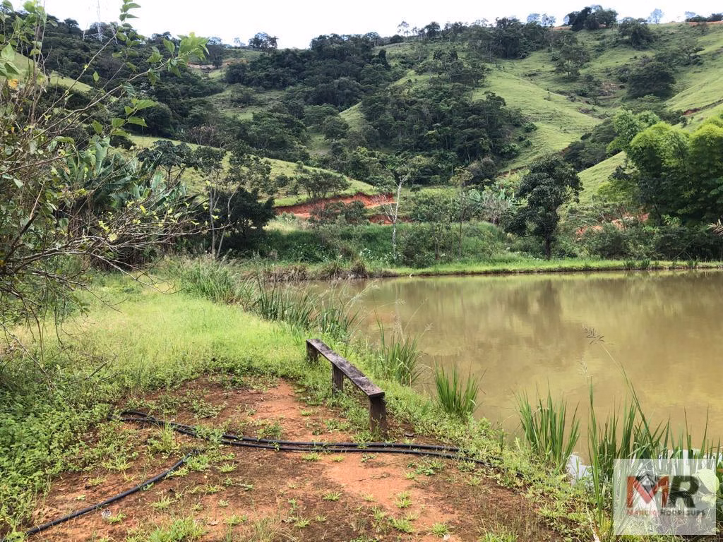 Fazenda de 134 ha em Espírito Santo do Dourado, MG