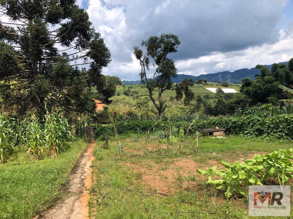 Fazenda de 134 ha em Espírito Santo do Dourado, MG