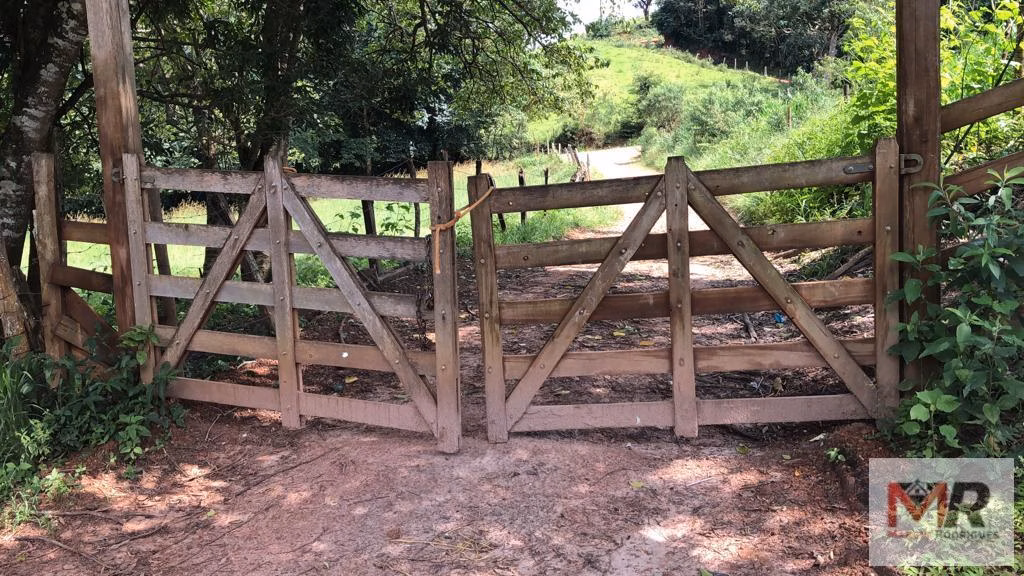 Fazenda de 134 ha em Espírito Santo do Dourado, MG