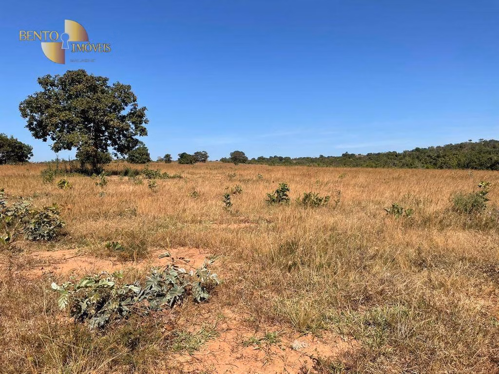 Fazenda de 339 ha em Diamantino, MT
