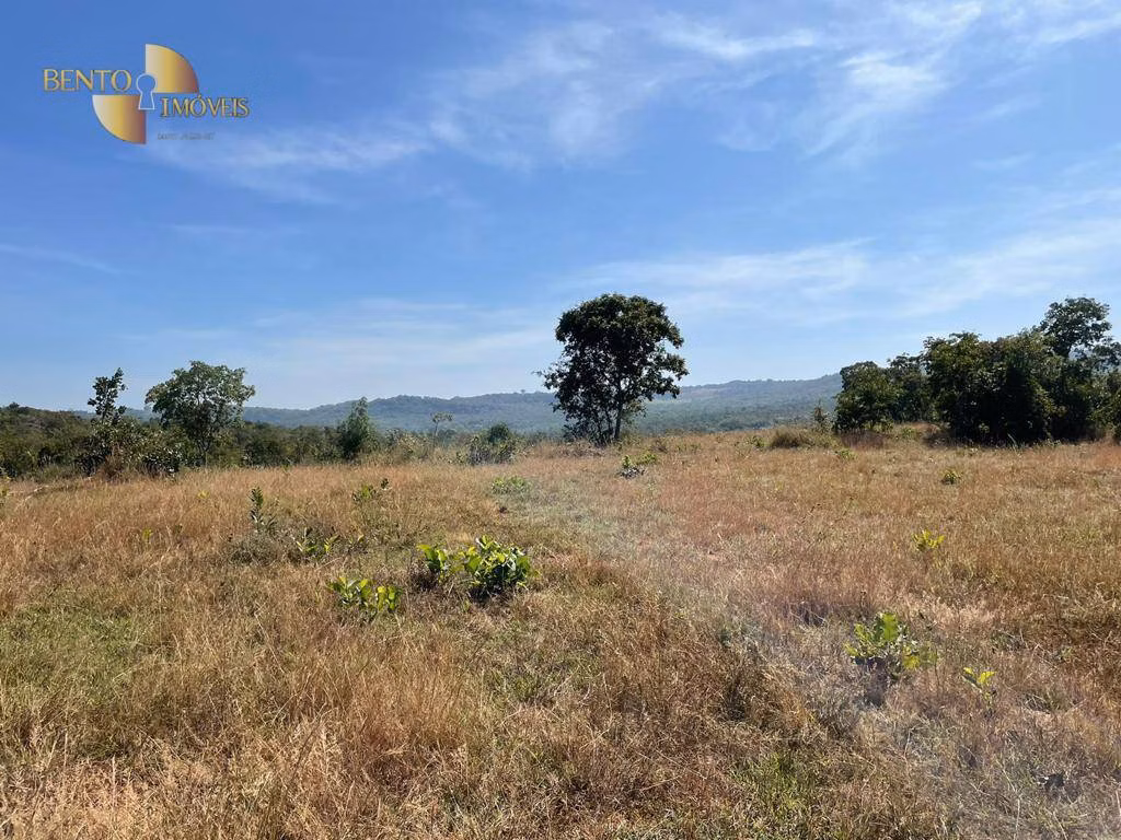 Fazenda de 339 ha em Diamantino, MT