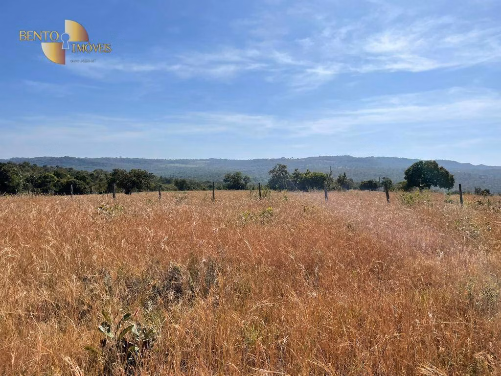 Fazenda de 339 ha em Diamantino, MT