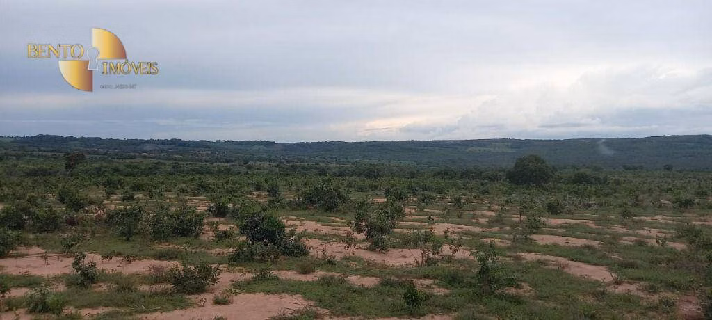 Fazenda de 339 ha em Diamantino, MT