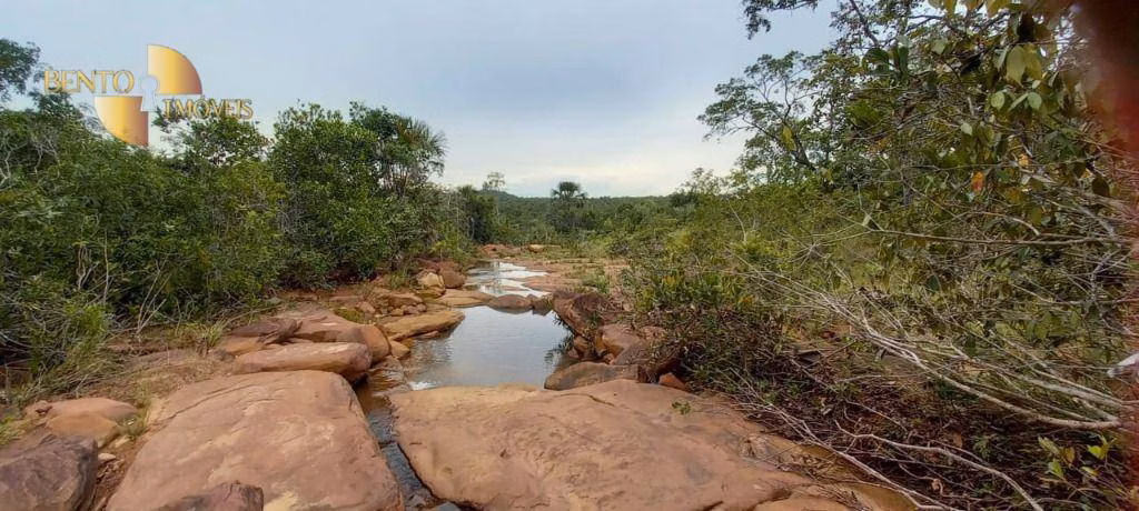 Fazenda de 339 ha em Diamantino, MT