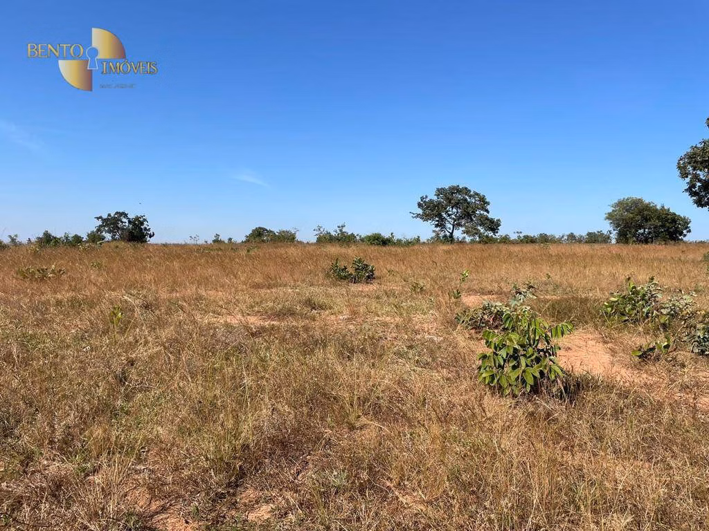 Fazenda de 339 ha em Diamantino, MT