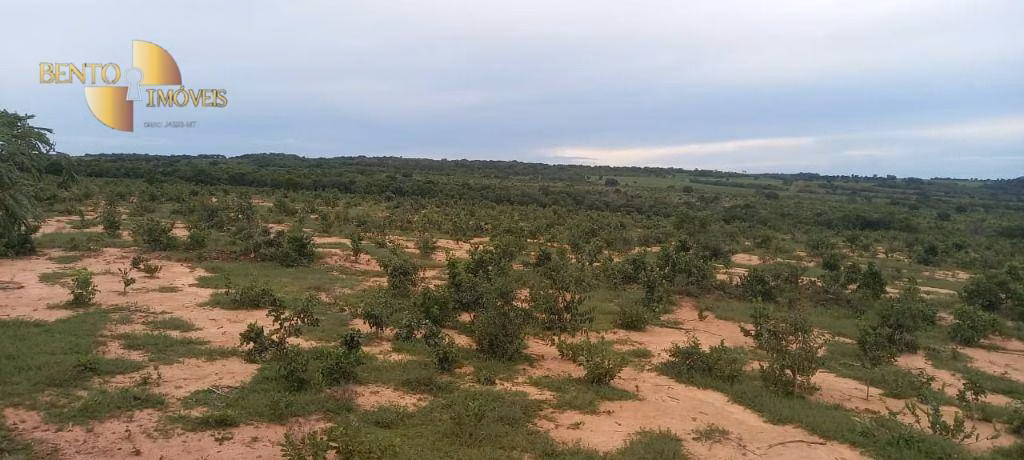Fazenda de 339 ha em Diamantino, MT