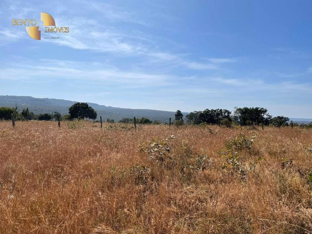 Fazenda de 339 ha em Diamantino, MT