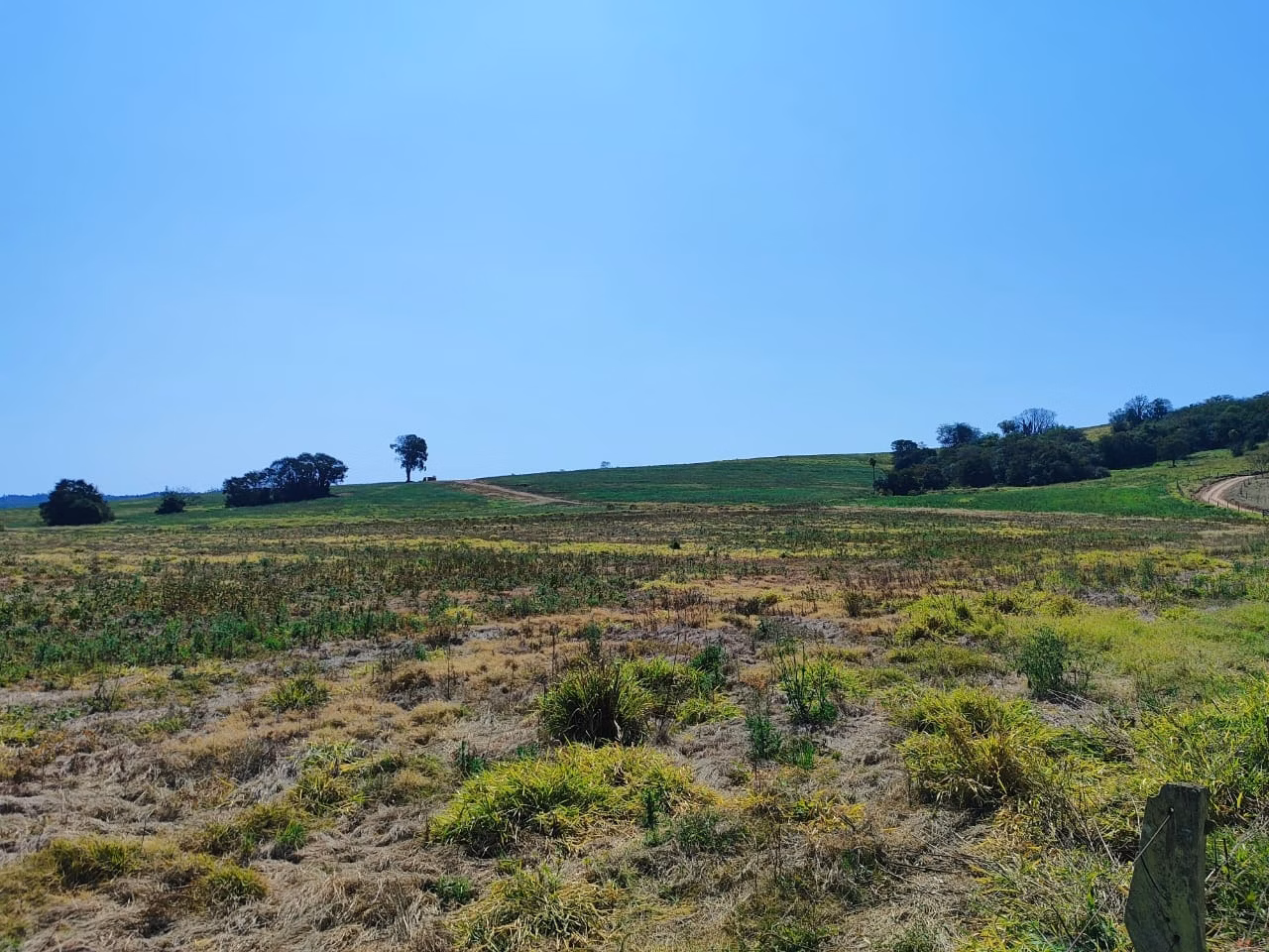 Fazenda de 99 ha em Itapetininga, SP