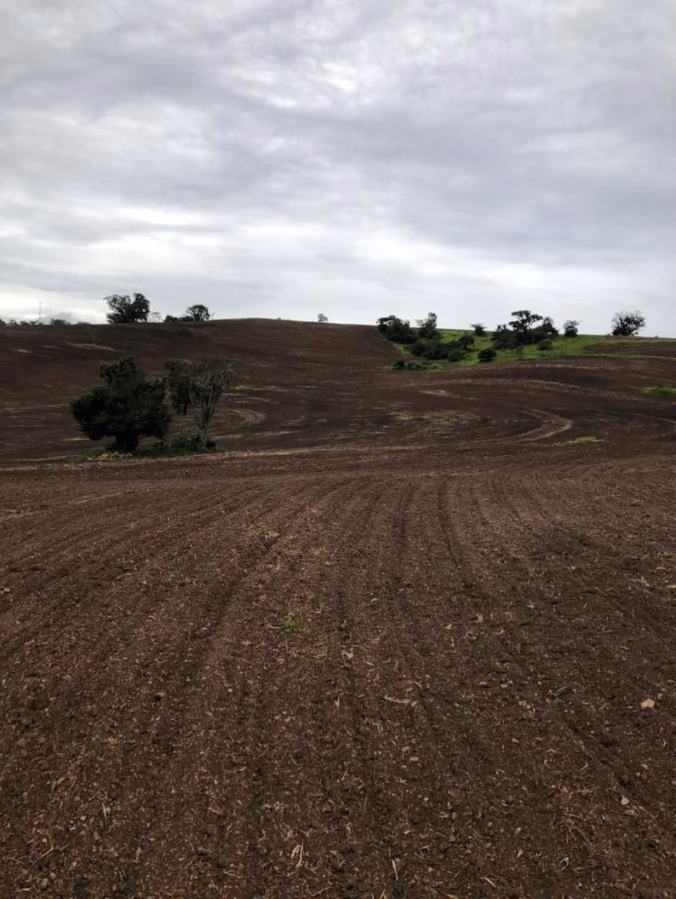 Fazenda de 99 ha em Itapetininga, SP