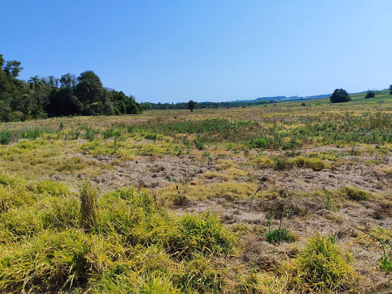 Farm of 245 acres in Itapetininga, SP, Brazil