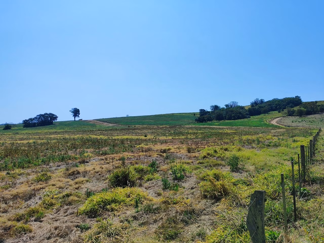 Fazenda de 99 ha em Itapetininga, SP
