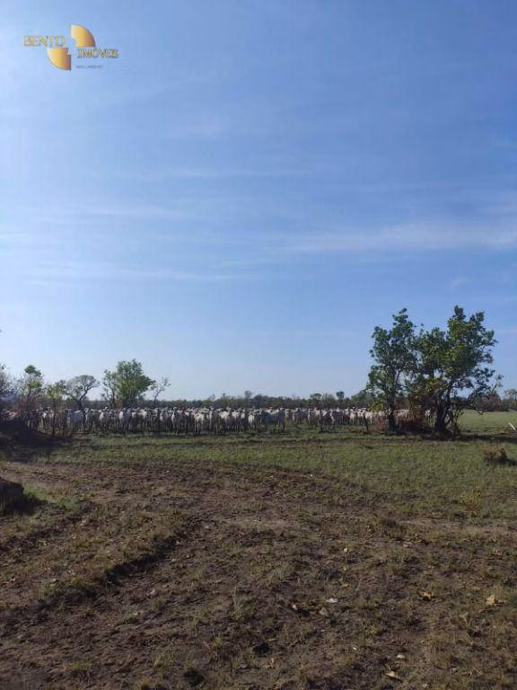 Farm of 19,768 acres in Luciara, MT, Brazil
