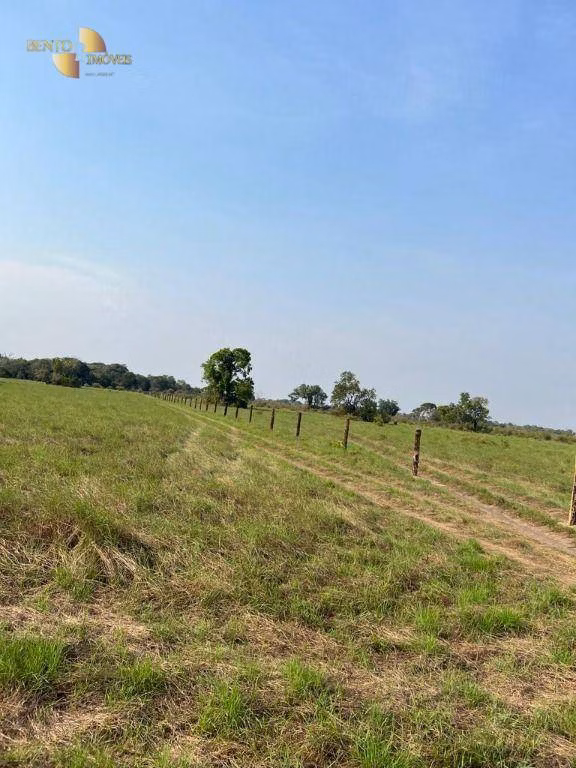 Farm of 19,768 acres in Luciara, MT, Brazil