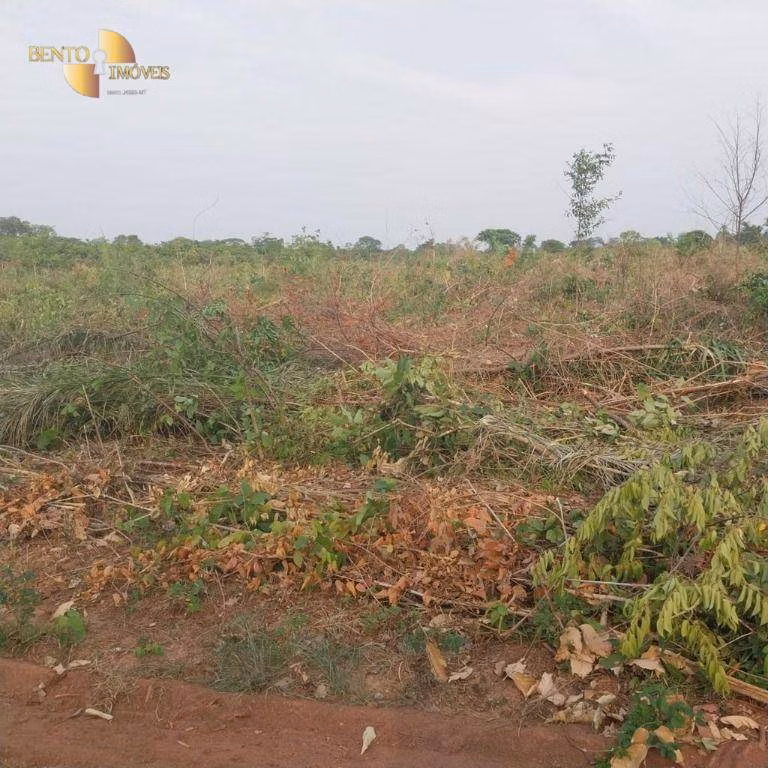 Fazenda de 8.000 ha em Luciara, MT