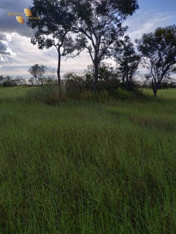 Farm of 19,768 acres in Luciara, MT, Brazil