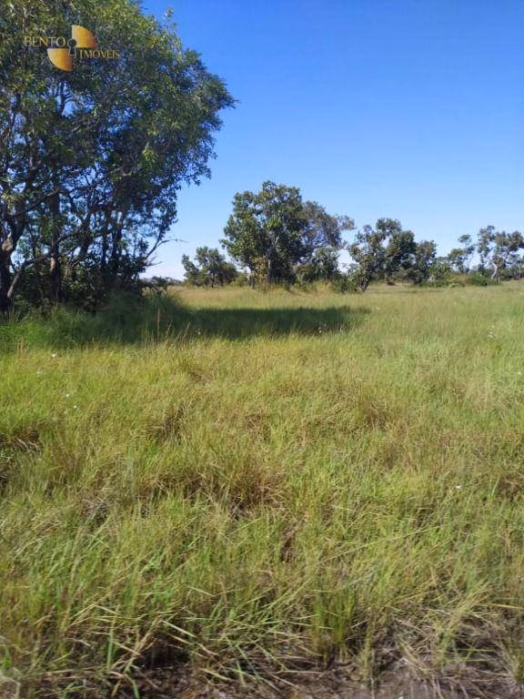 Farm of 19,768 acres in Luciara, MT, Brazil