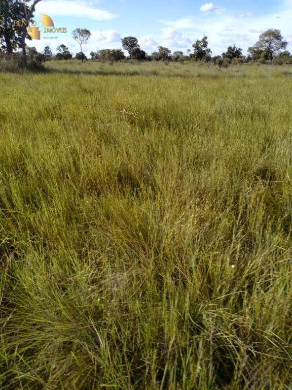 Farm of 19,768 acres in Luciara, MT, Brazil