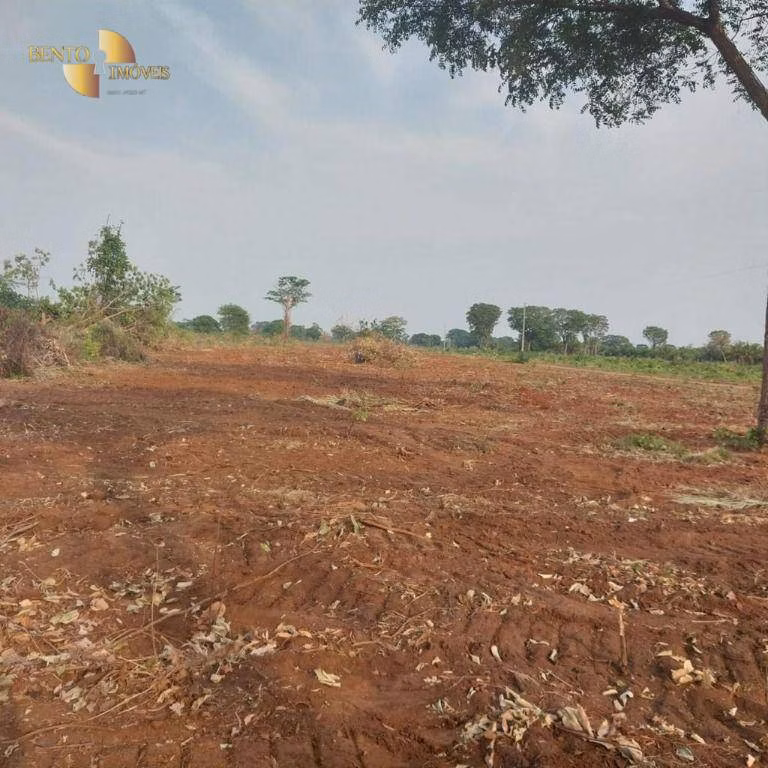 Farm of 19,768 acres in Luciara, MT, Brazil