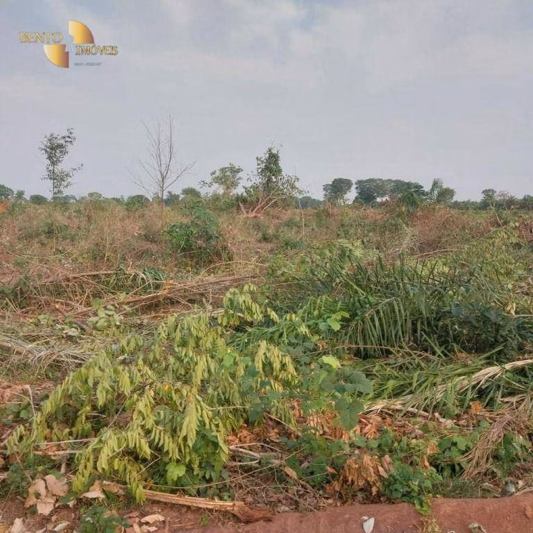 Farm of 19,768 acres in Luciara, MT, Brazil
