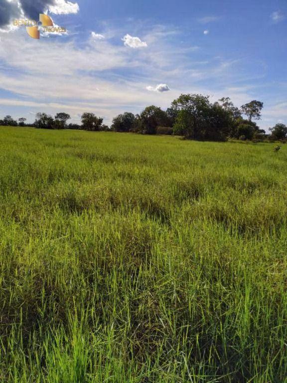 Farm of 19,768 acres in Luciara, MT, Brazil