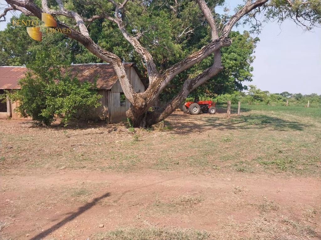 Farm of 19,768 acres in Luciara, MT, Brazil
