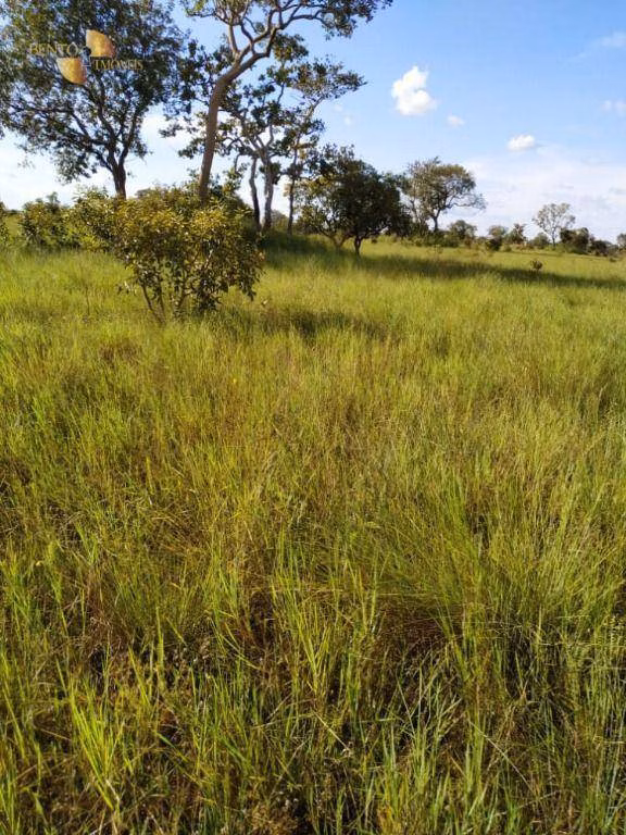 Farm of 19,768 acres in Luciara, MT, Brazil