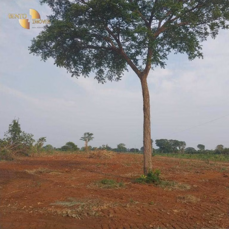 Farm of 19,768 acres in Luciara, MT, Brazil