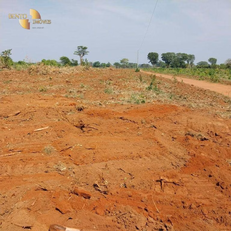 Farm of 19,768 acres in Luciara, MT, Brazil