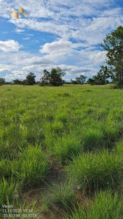 Farm of 19,768 acres in Luciara, MT, Brazil
