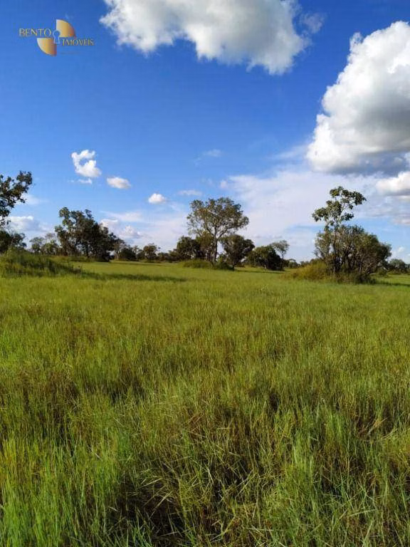 Farm of 19,768 acres in Luciara, MT, Brazil