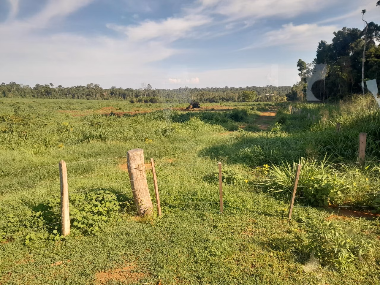 Farm of 1.127 acres in Alta Floresta, MT, Brazil