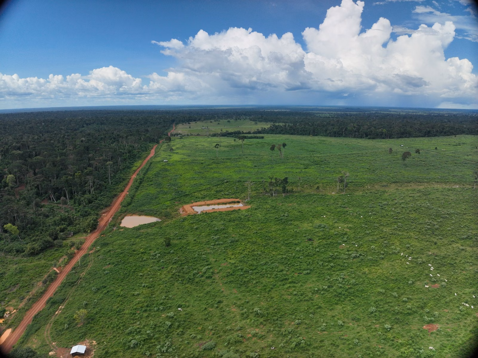 Farm of 1.127 acres in Alta Floresta, MT, Brazil