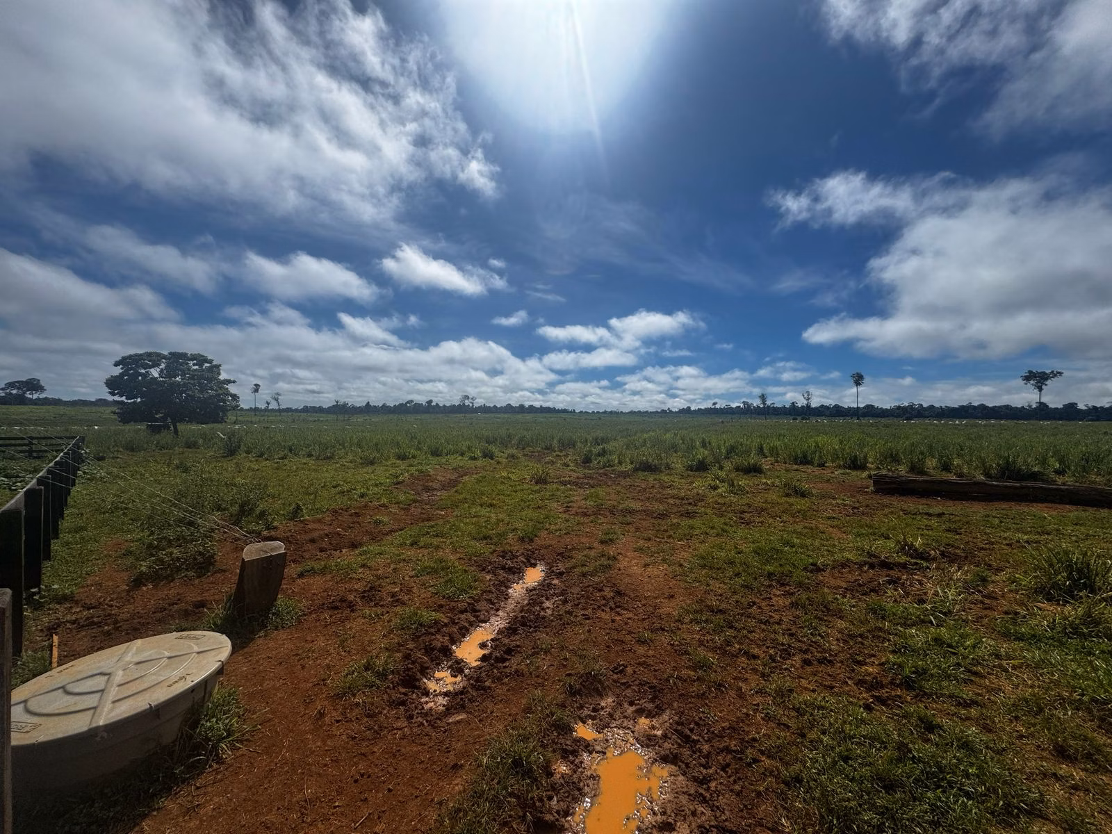 Farm of 1.127 acres in Alta Floresta, MT, Brazil