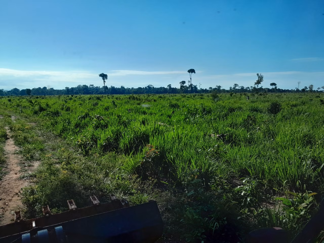 Farm of 1.127 acres in Alta Floresta, MT, Brazil