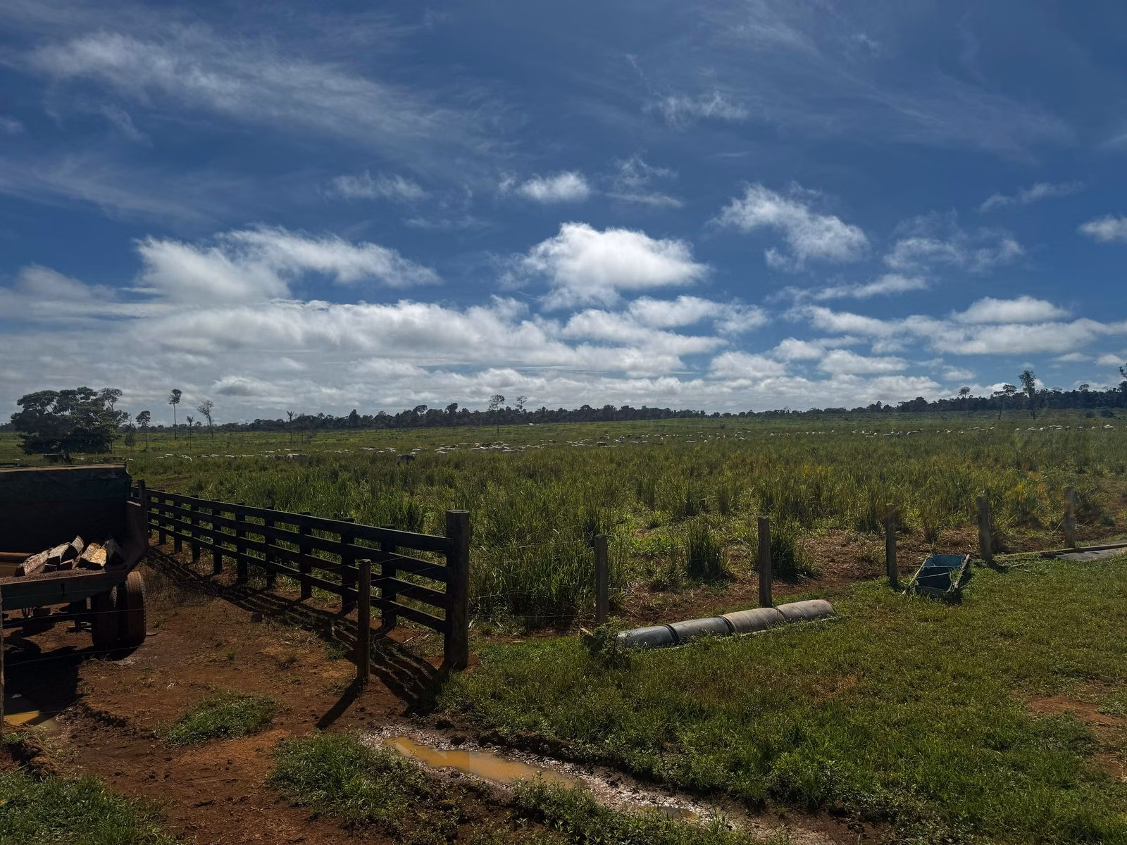 Farm of 1.127 acres in Alta Floresta, MT, Brazil