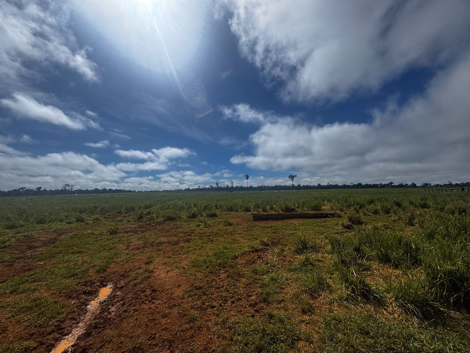 Farm of 1.127 acres in Alta Floresta, MT, Brazil