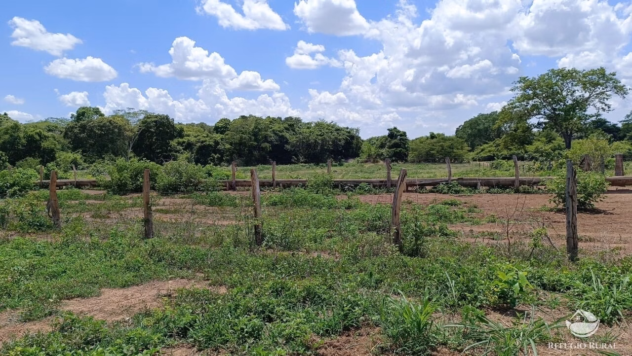 Fazenda de 909 ha em Alvorada, TO