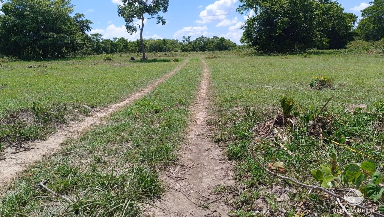 Fazenda de 909 ha em Alvorada, TO